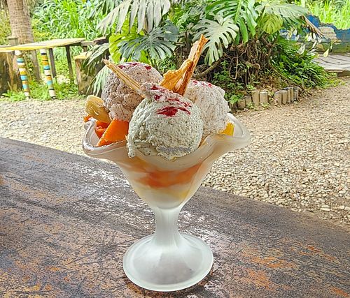 amazing vegan ice cream. yum at Villa Bonita in Coroico