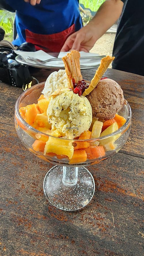 omg! amazing vegan icecream at Villa Bonita in Coroico