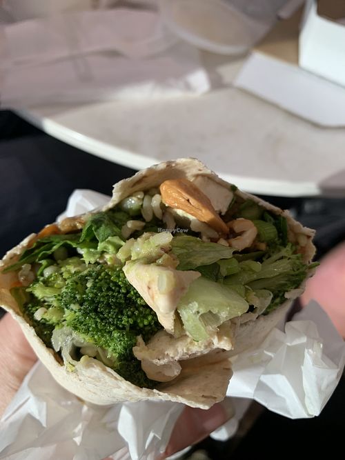 Soy meets world wrap   at SEA - Evergreens in Seattle