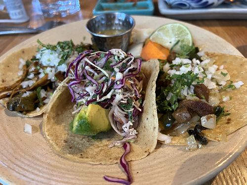   at Flores in Corte Madera