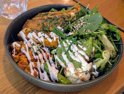 Parakeet bowl at Parakeet Cafe in San Diego