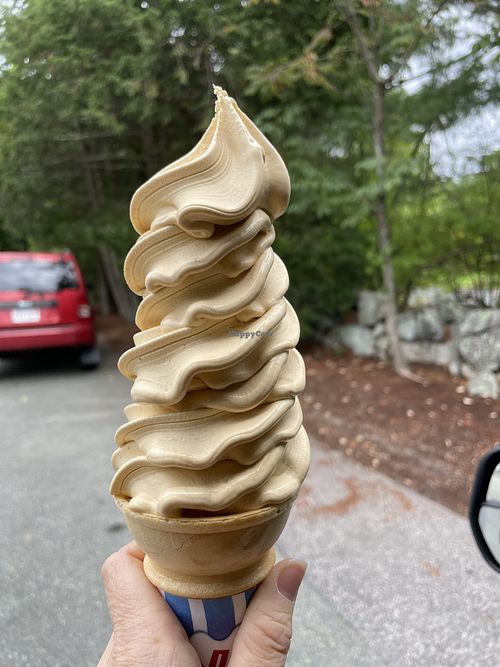 Vegan pumpkin soft serve   at Cedar Hill Dairy Joy in Weston