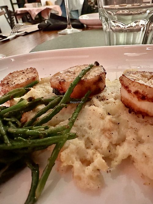   at Atelier Flori in Bruges