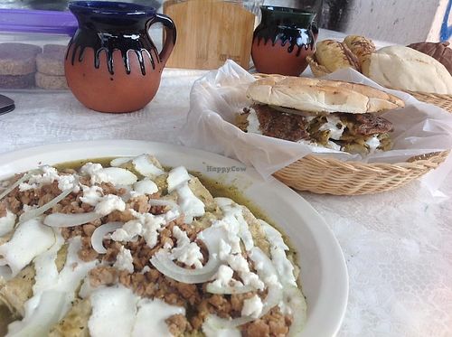 Enchiladas at Gaia Vegana - Food Truck in Mexico City