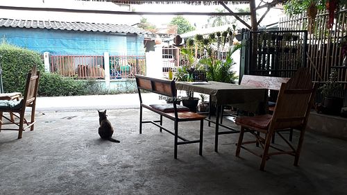 Seating at Monkey Bowls in Chiang Mai
