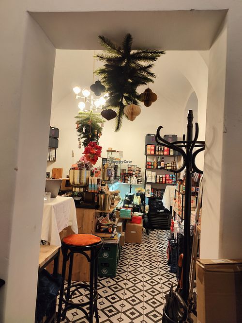 Cuteness at Pepper & Ginny - Vegane Veinkost in Vienna