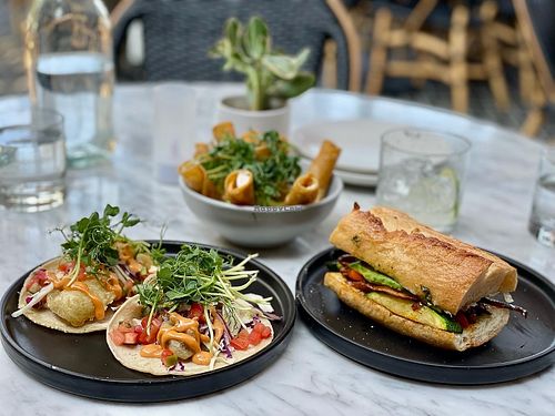 2 Mushroom Tacos and a Vegetable Torte with Taquitos in the background at Gracias Madre in Newport Beach