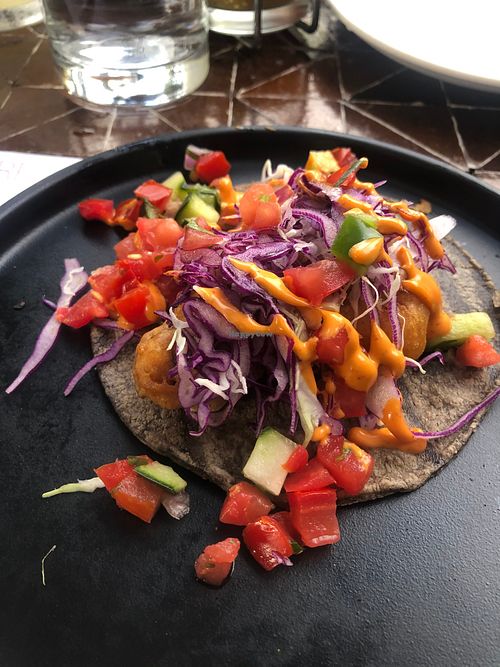 Portobello Taco - Happy hour portion at Gracias Madre in Newport Beach