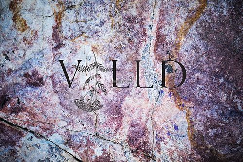 VILLD2 at Villd in Helsinki
