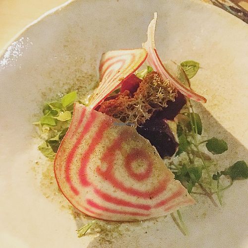 Annoksessa mm. kuusta, mesijuurta ja jäkälää   at Villd in Helsinki