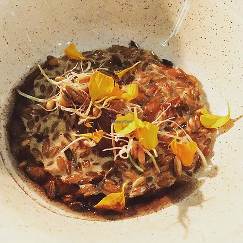 Ruis, pakuri, kanerva   at Villd in Helsinki