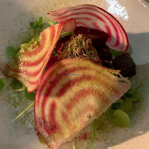 Beetroot, spruce, polypody, lichen. at Villd in Helsinki