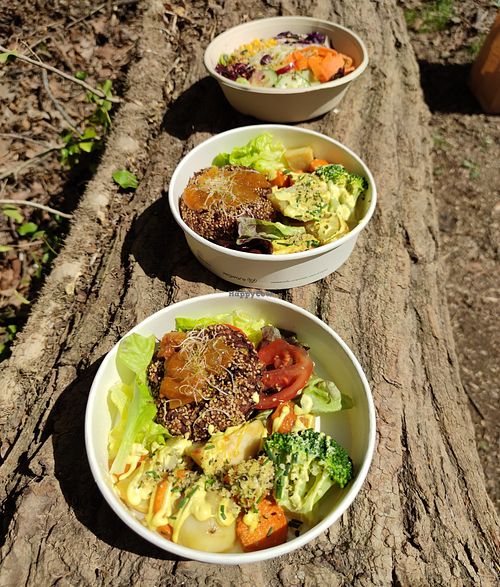 Bean burgers with veggies and salad at La Nòmada in Olot