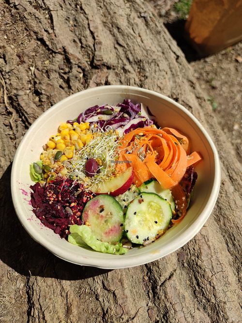 Salad with an amazing apple cider vinegar dressing at La Nòmada in Olot