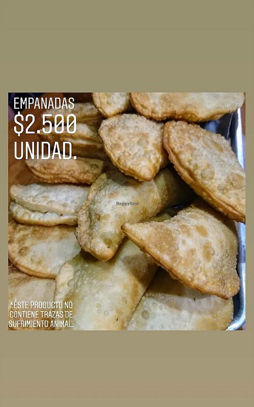 Empanadas at Vegan For The Animals Food in Bogota