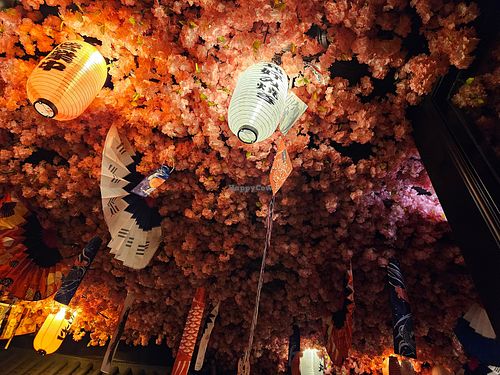 Gorgeous ceiling decor at Shinya Ramen House in Chicago