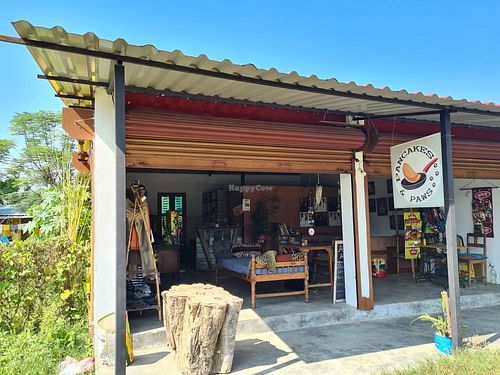  at Pancake 4 Paws in Ratnanagar