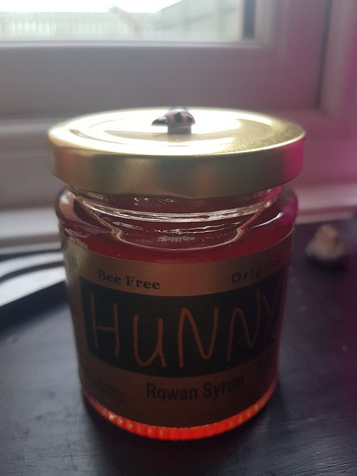 Hunny at Dalton Moor Farm in Seaham