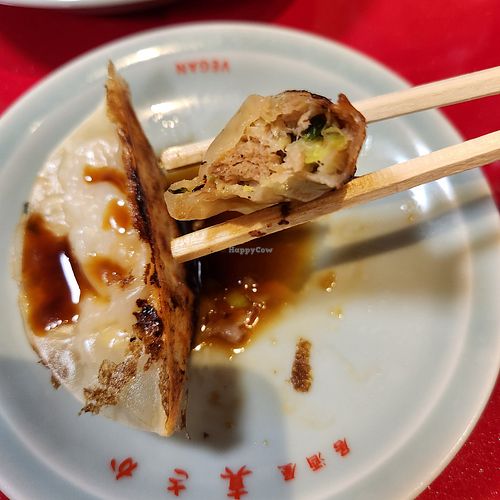 Gyoza at Izakaya Masaka in Tokyo