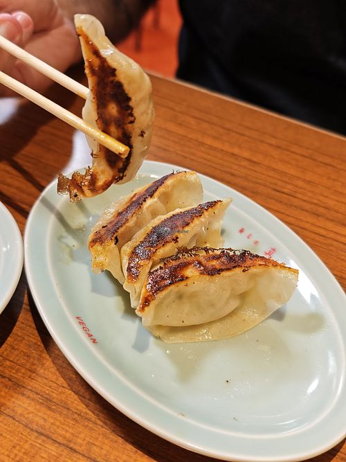Gyoza!!! 🥟 at Izakaya Masaka in Tokyo