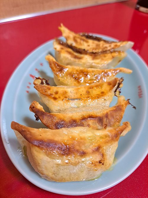 Gyoza (pan-fried dumplings) at Izakaya Masaka in Tokyo
