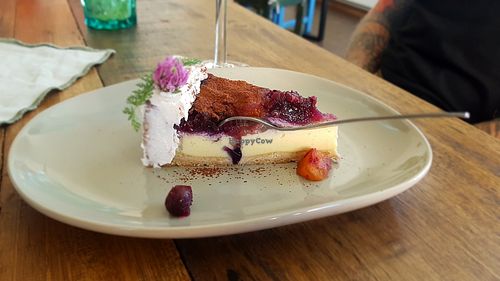 Forest fruit cheesecake - perfect! at Burina in Liptovsky Mikulas