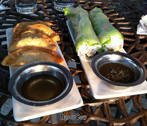 crispy dumplings and basil rolls at Loving Hut in Norcross