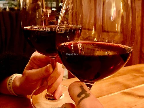 wine at Roter Elephant Café & Restaurant in Erfurt