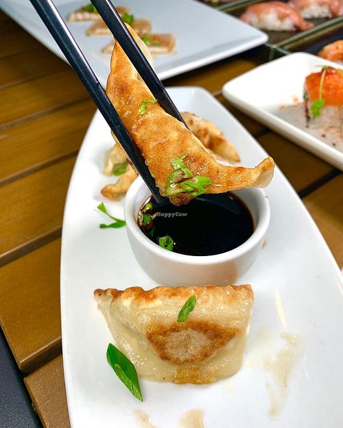 Gyoza at Rattan Pan Asian Bistro in Houston