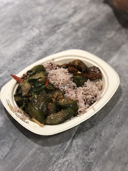 Rice with 2 dishes (spicy eggplant and fried vegan fish) at So Vegan - Yaowarat​ in Bangkok