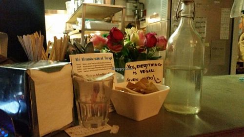 reception vegan yah at Cafe N in Copenhagen