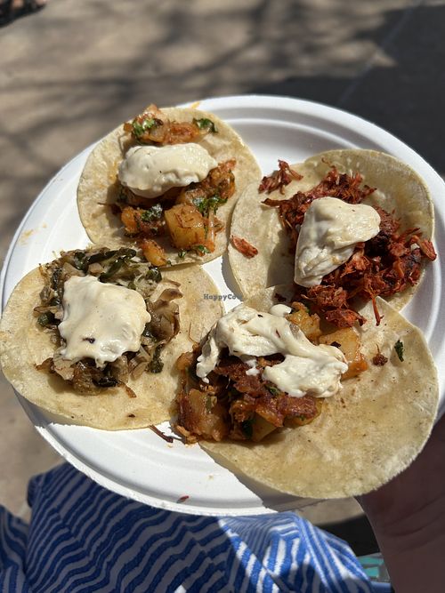 Tacos!  at Productos Veganos Rancho San Agustín in Puerto Vallarta