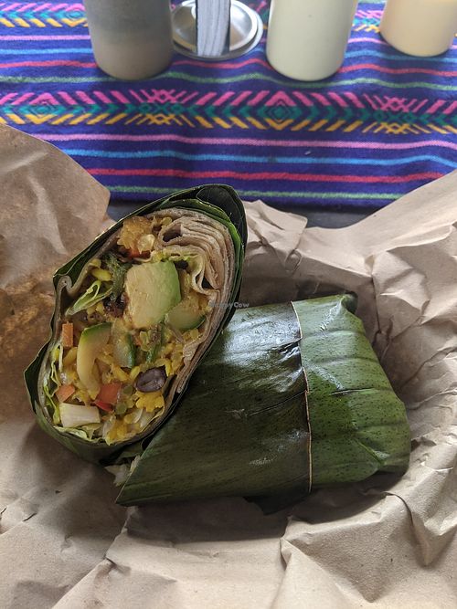 Image of Mi Burrito Bacalar