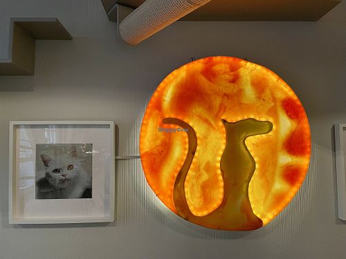 inside at Katzentempel - Rosenheim in Rosenheim