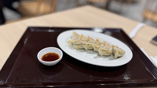 Gyoza  at NRT - T's Tantan - T1 in Narita