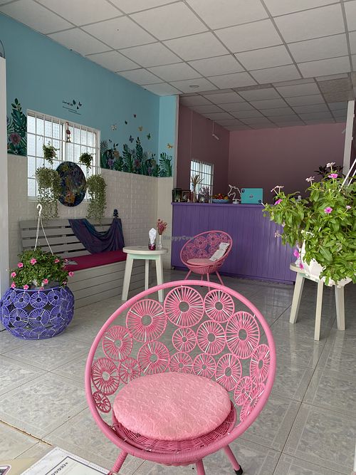 Holly polly at HollyPolly in Phu Quoc