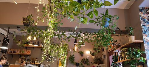  at Palo Verde in Prague