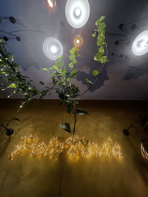   at Palo Verde in Prague