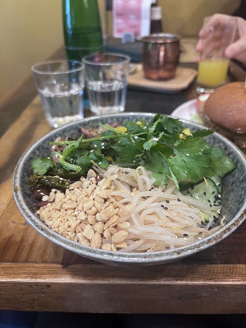 Bulgogi rice bowl   at Palo Verde in Prague