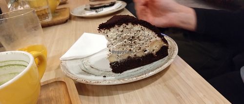 Mule Cake at Palo Verde in Prague