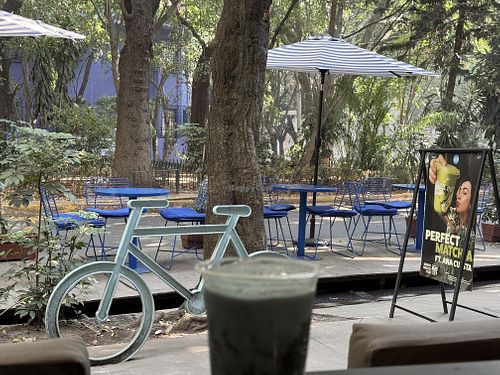   at Mora Mora - Condesa in Mexico City