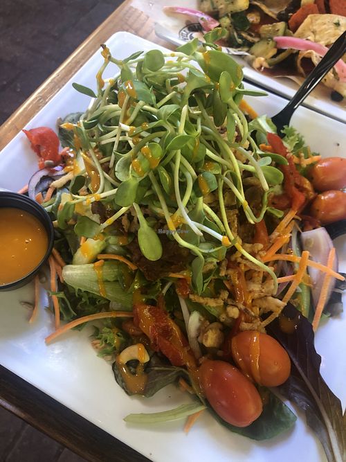 Yellow Dog Eats New Smyrna Beach Florida Restaurant HappyCow