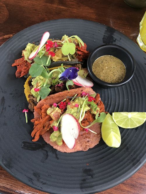   at Le' Kaat in Valladolid