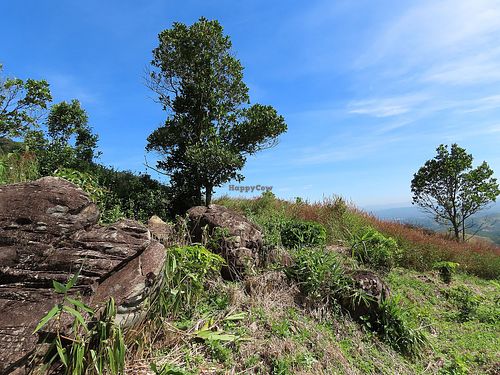 Stone field at Boring B'lao in Bao Loc