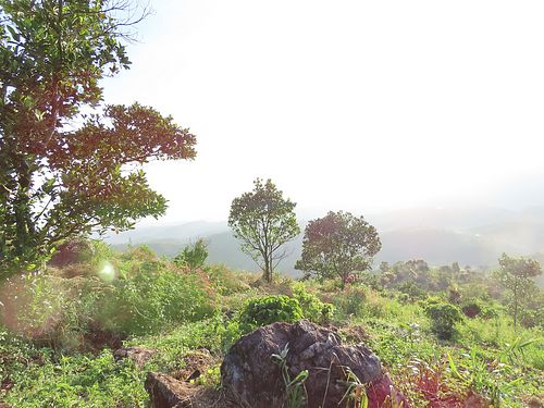 Amazing view at Boring B'lao in Bao Loc