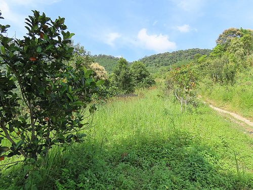 No one here except us at Boring B'lao in Bao Loc