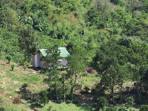Surrounded by nature at Boring B'lao in Bao Loc