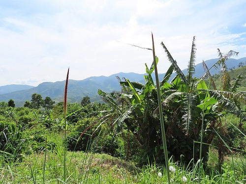 What a view at Boring B'lao in Bao Loc