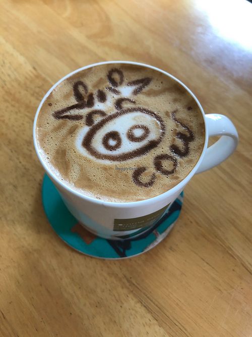 Cow-free coffee at PP99 品品 in Wujie