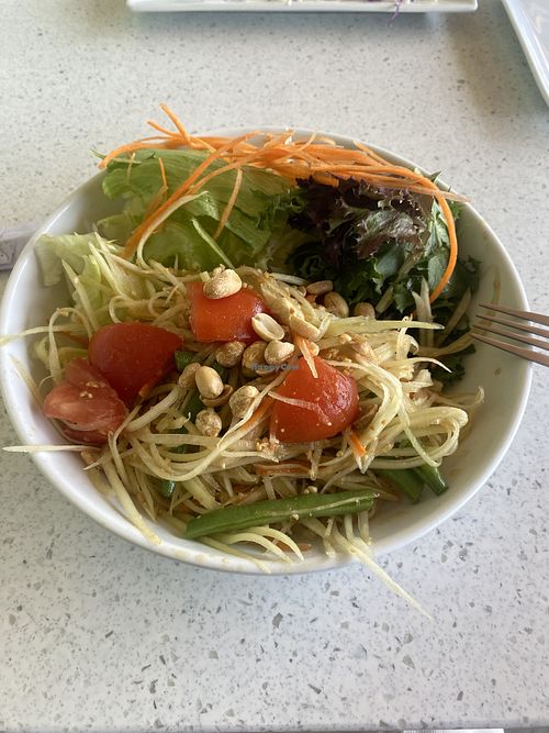 Papaya Salad 🥗💖 Mild because I’m a baby!  at Salaya in Los Angeles